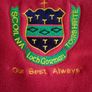 Presentation Wexford Secondary School uniform scarf hat crest new Image 4