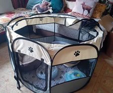 kitten start kit