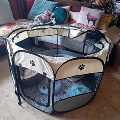 kitten start kit