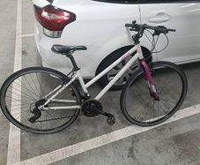 ladies bike