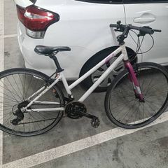 ladies bike