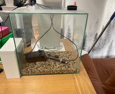 Fish tank