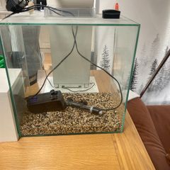 Fish tank