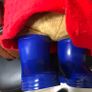 paddington bear Image 8