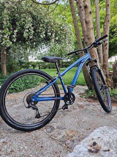 Teenagers Rockrider Bike. Kids cycle
