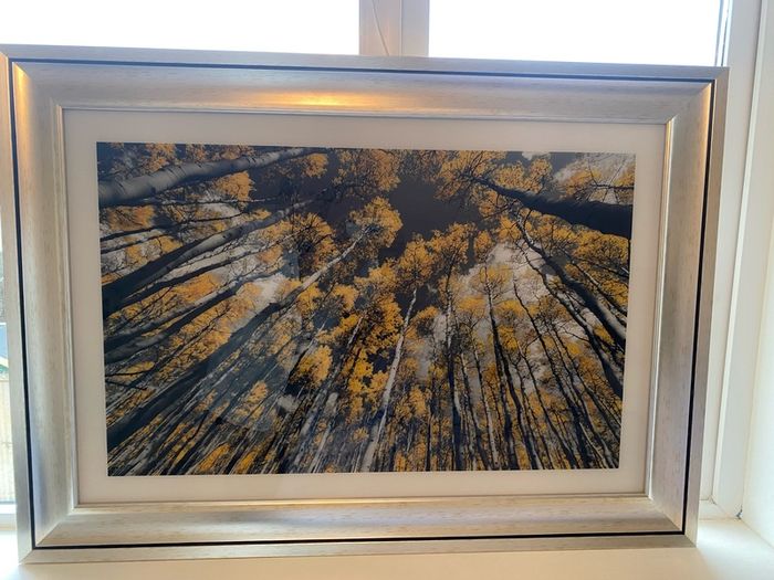 2 x pictures 105cm x 75cm
