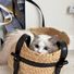ragdollcloset