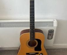 washburn guitar