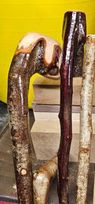 Blackthorn walking sticks