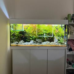 Juwel Rio 180L Fish Tank & Cabinet Full Set, 2 external filters, Co2