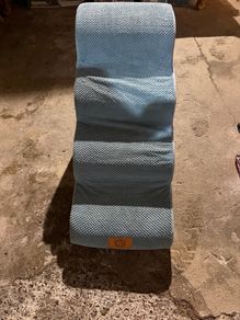 dog steps