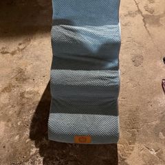 dog steps