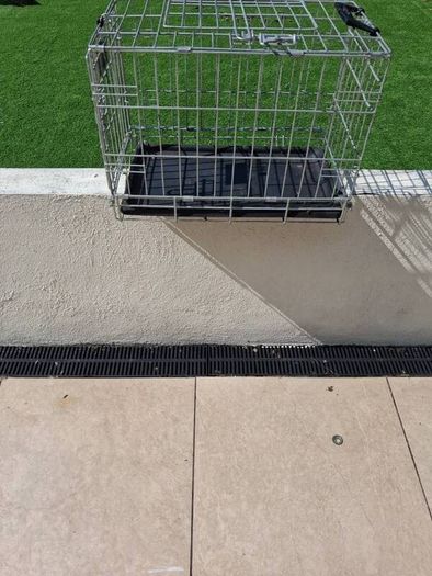 dog cage