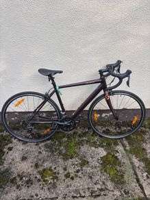 Scott Bike Contessa Speedster 25 S52