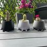 Happy Pot Planter Image 2