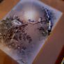 Vintage pair of finch prints Image 2