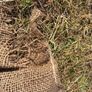 4 vintage hessian jute sacks Image 4