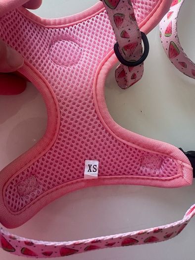 dog harness, lead, and poop bag holder xs