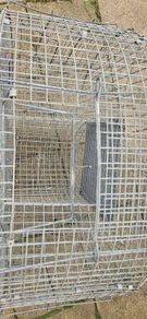 Larsen trap