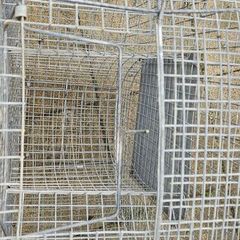 Larsen trap