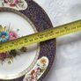 Spode Display Plate Image 7