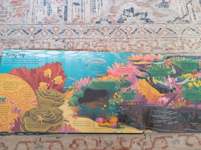Usborne Look Inside Sea and Oceans