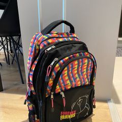 Child's Drag along / backpack