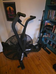 Rogue Echo Bike