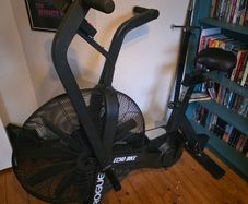 Rogue Echo Bike