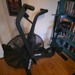 Rogue Echo Bike