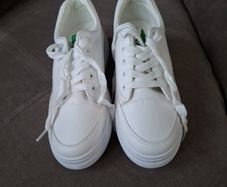 traines