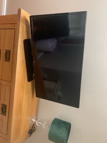 Bush tv