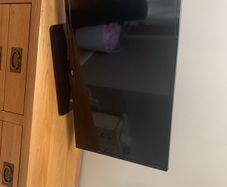 Bush tv