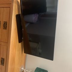 Bush tv