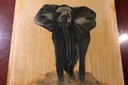 2 oil on board elephants
