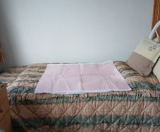 Incontinence Mattress Protector