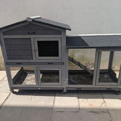 Guinea pig/rabbit hutch