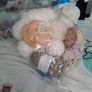 wool Image 3