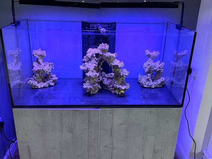 Fish tank