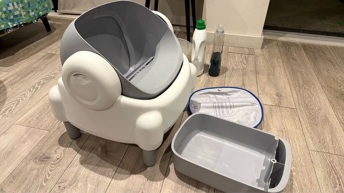 auto cat litter box