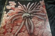 Invertibrate Zoology . 4th edition(Hardcover Illustrated Boards)
