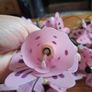 Pink Butterfly Fairy String Lights Image 5