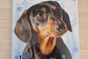 Animal Magic - Dogmagic