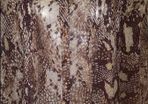 Beautiful as new snake skin print with studs oversize blouse by Butterfly Matthew Williamson size UK10/12 EUR38/40 Postage included