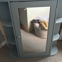 Bathroom Mirror Cabinet