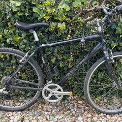 Giant bike