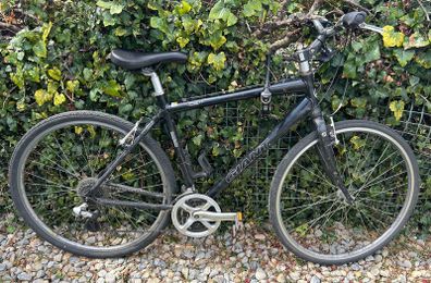 Giant bike