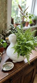 ceramic duck planter