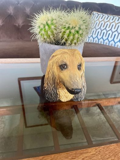 Vintage 20th Century Afghan Hound Chalkware Bust Legend Products