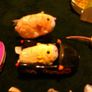Zhu Zhu Pets a.k.a. Go Go Hamsters cars - mint condition Image 6